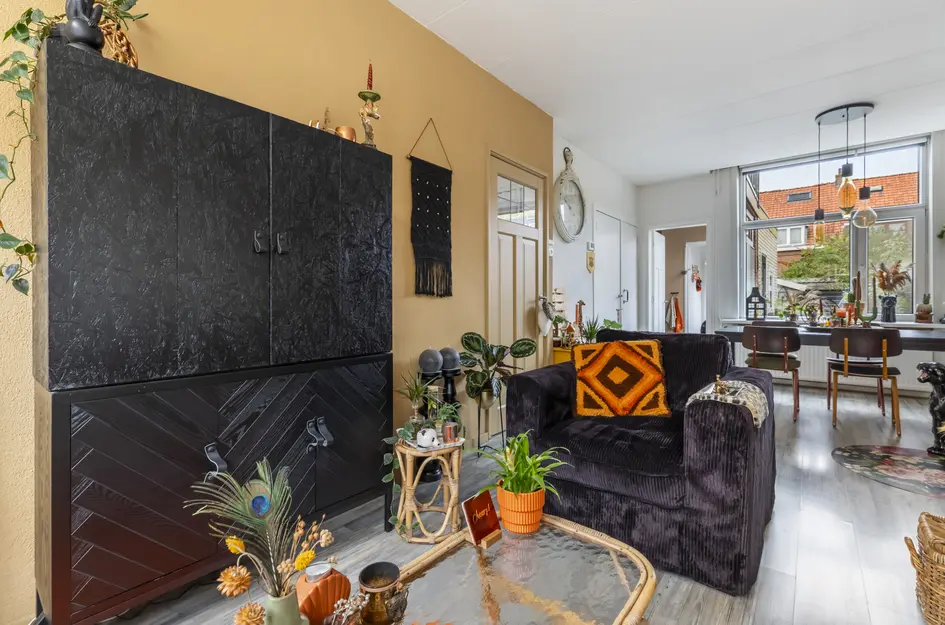 van Middelantstraat 11