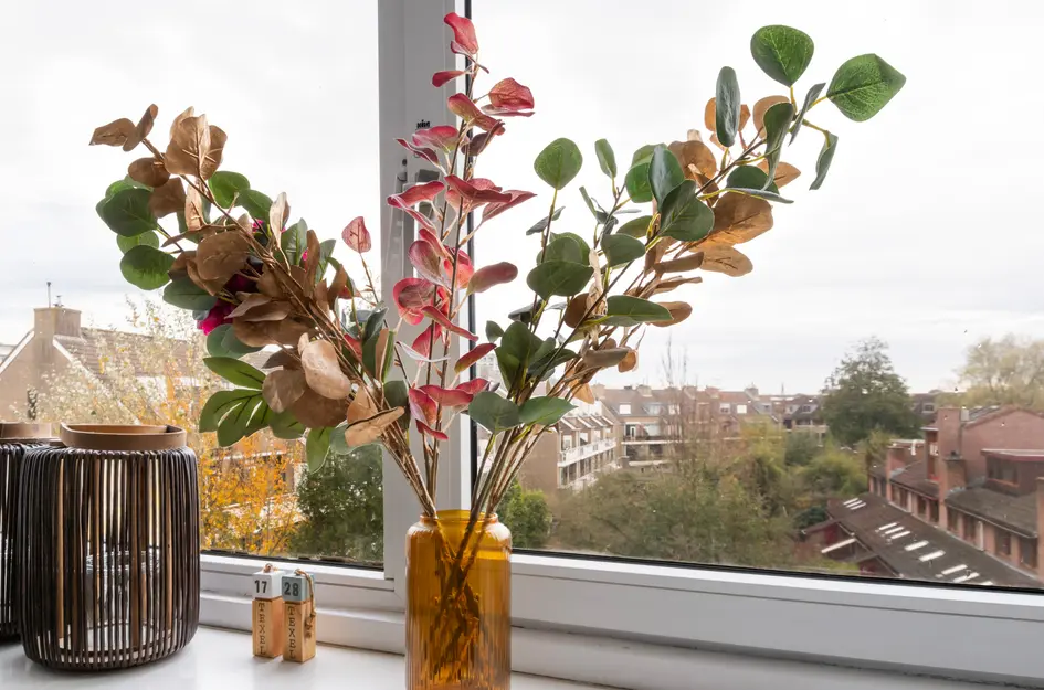 Anna van Hensbeeksingel 268