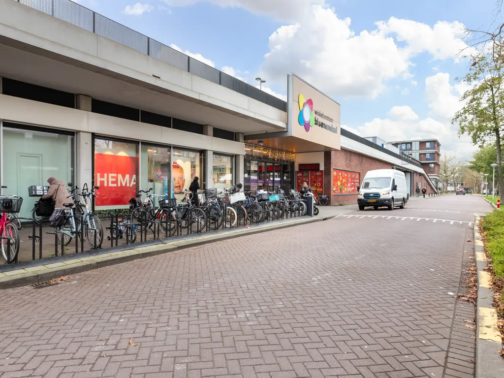 Ruigenburg 219, GOUDA