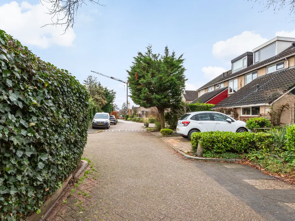 Beemdgras 106, GOUDA