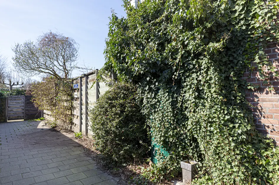 Gravin Jacobastraat 1