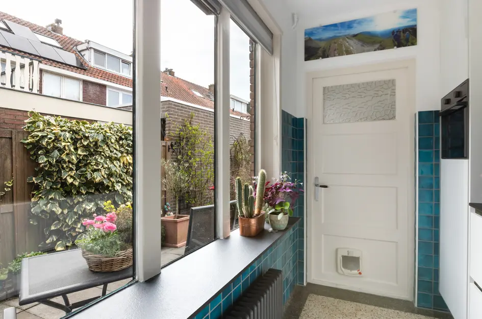 van der Palmstraat 49