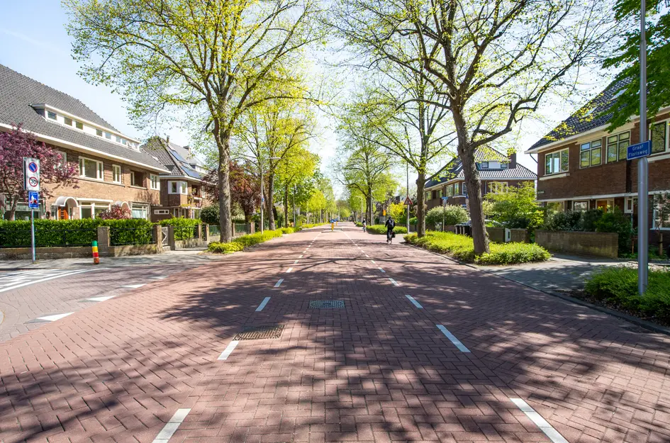 Graaf Florisweg 91