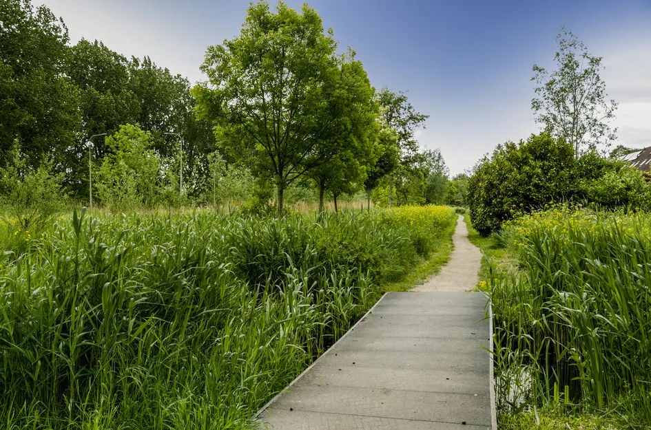 Drossaardslag 32