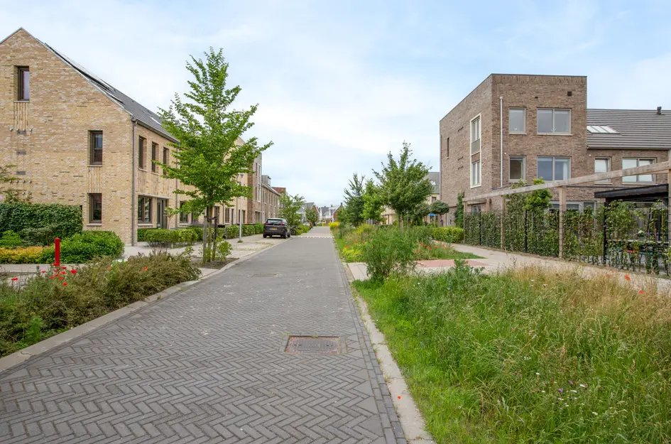 Maria Blomstraat 2