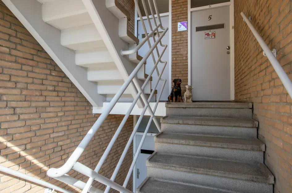 Schalkeroord 13