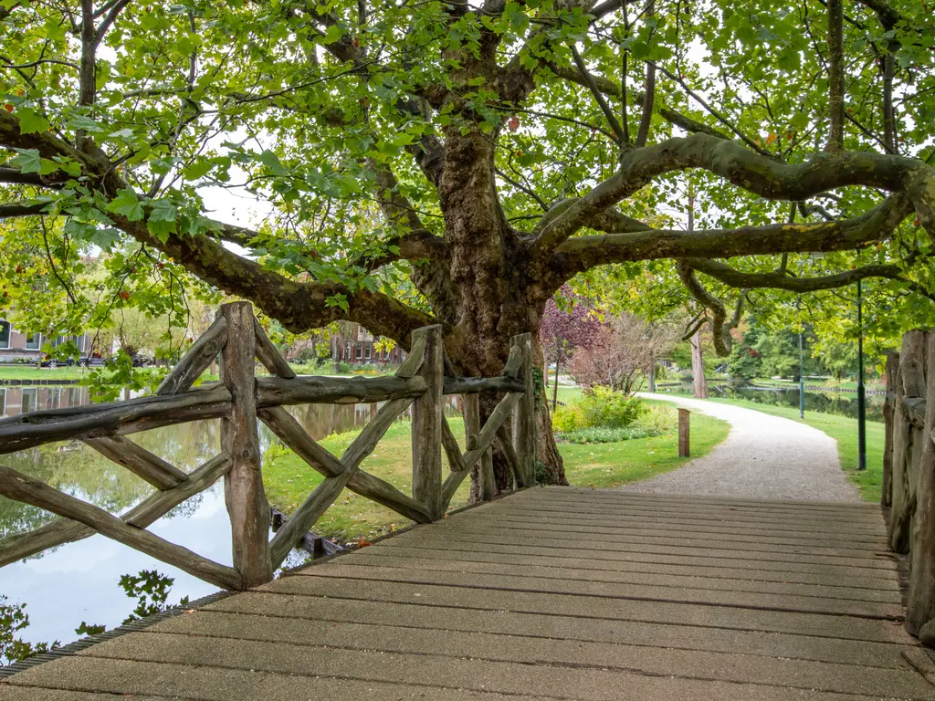 Crabethpark 7, GOUDA