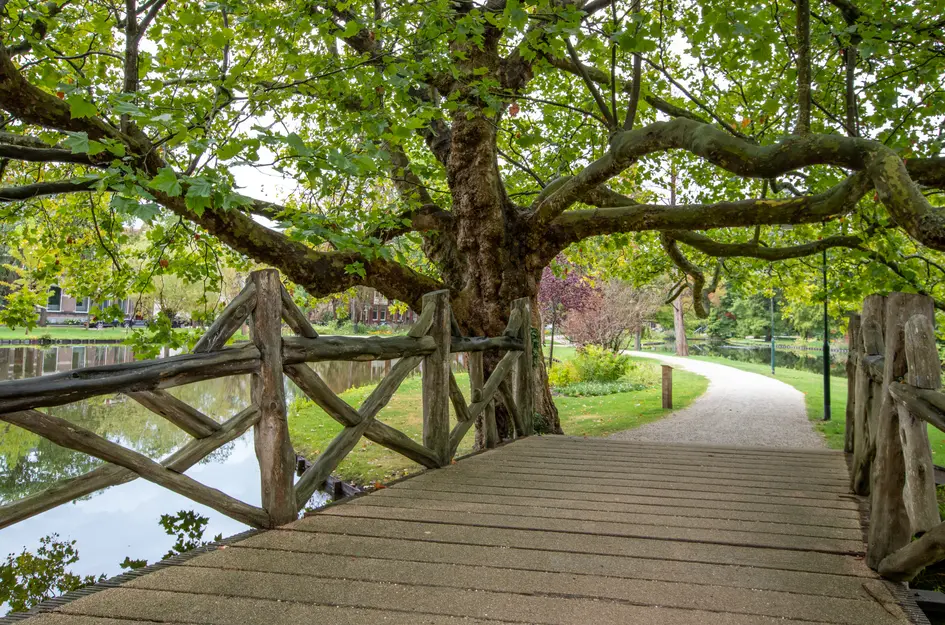 Crabethpark 7