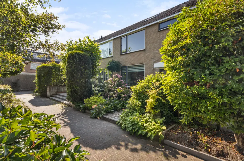 Blommesteinsingel 24