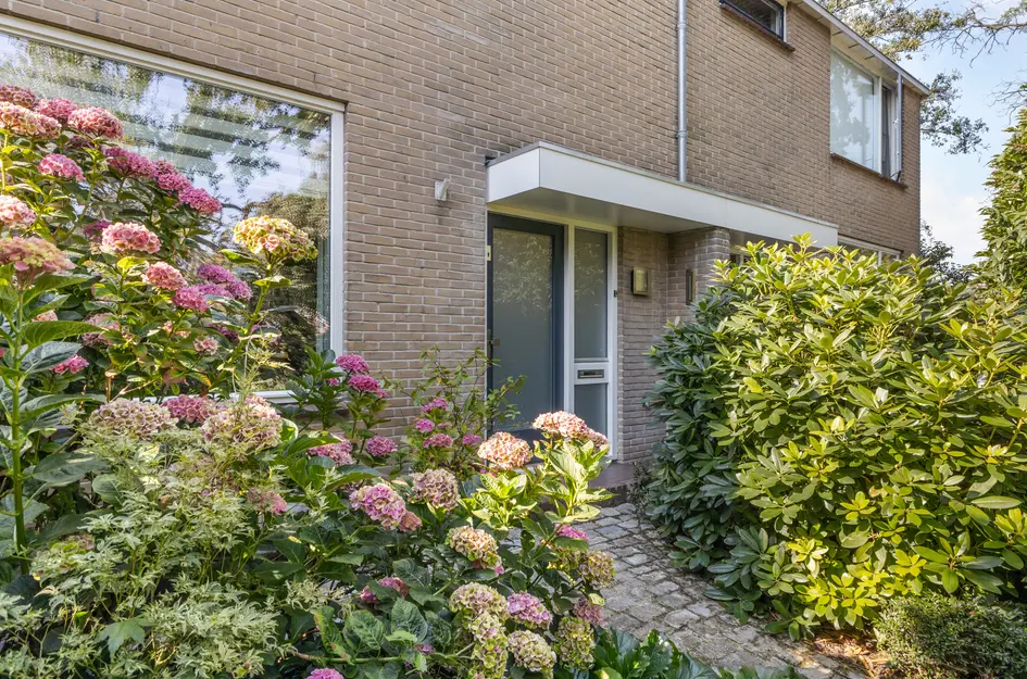 Blommesteinsingel 24