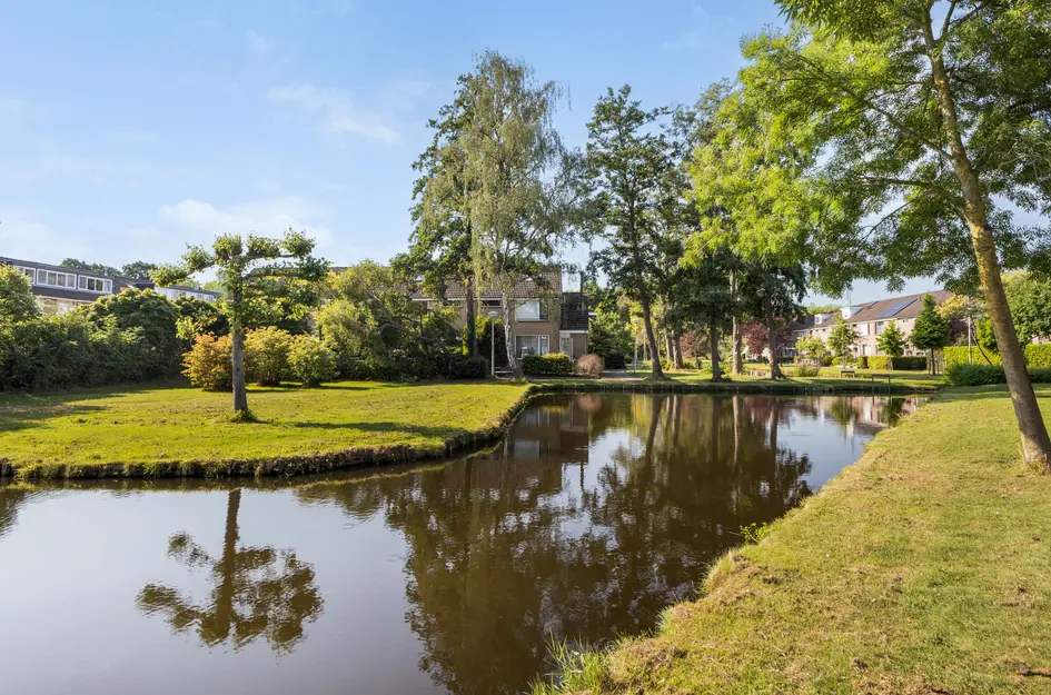 Blommesteinsingel 24