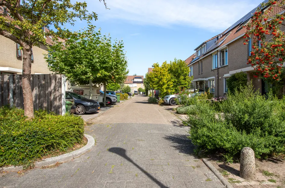Kameraarslag 36