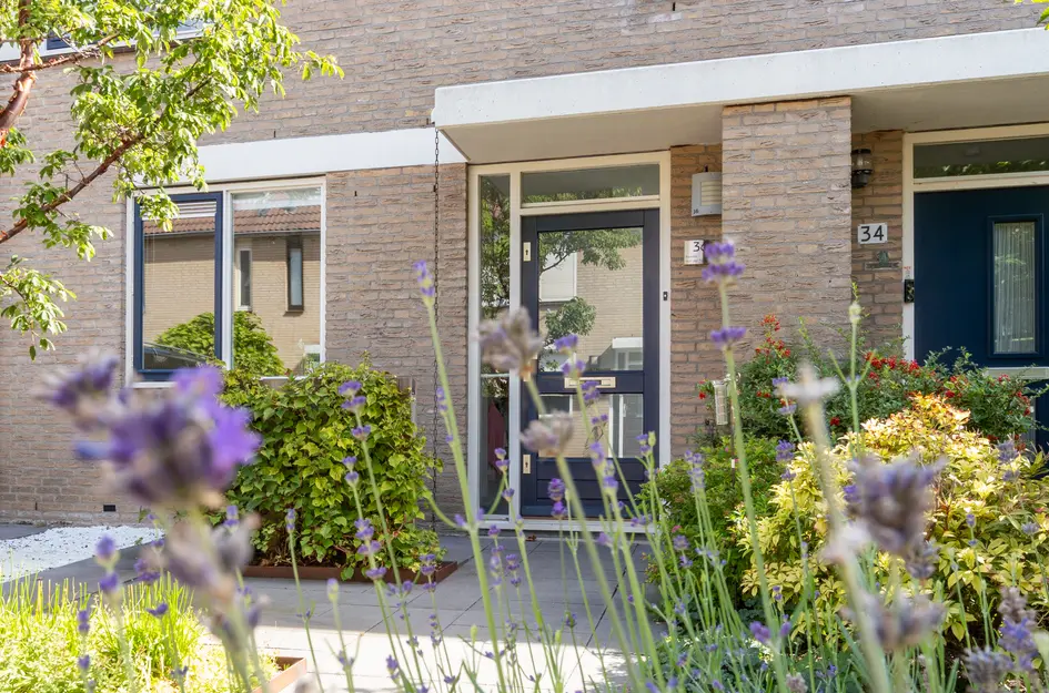 Kameraarslag 36