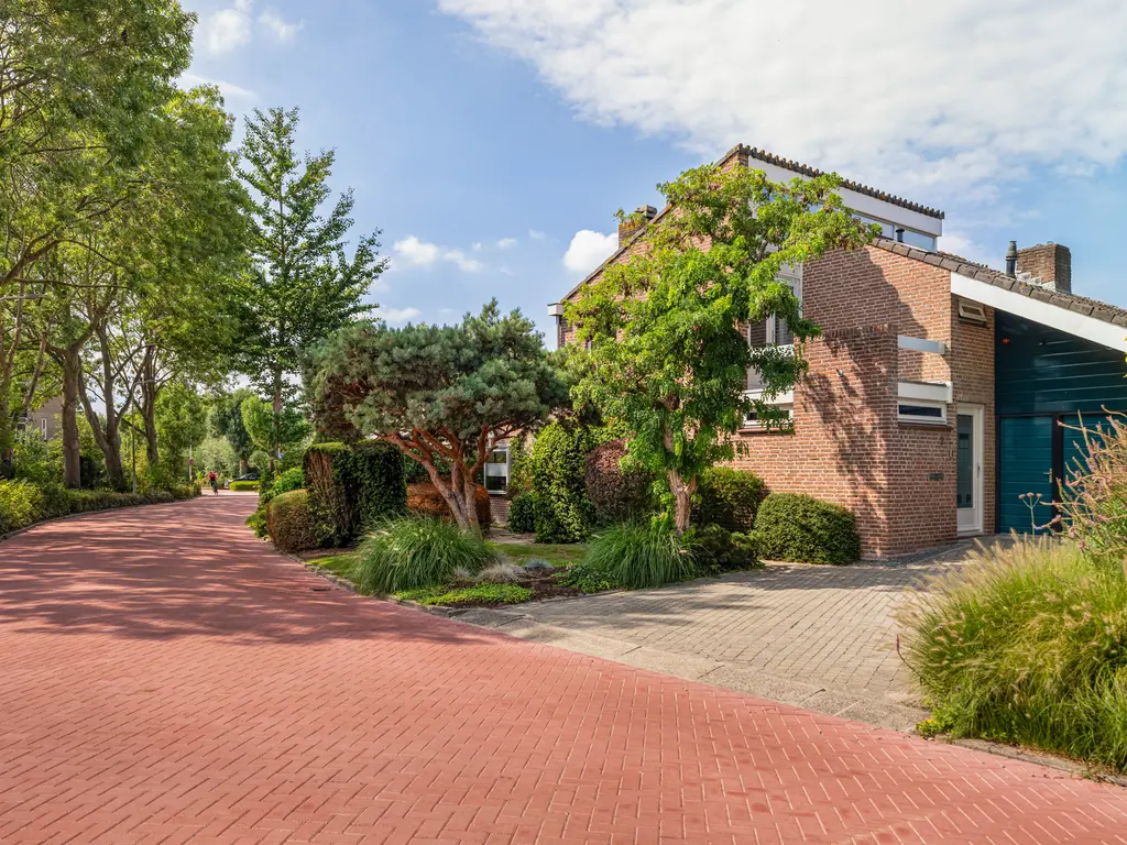 Weidezoom 3, MOORDRECHT