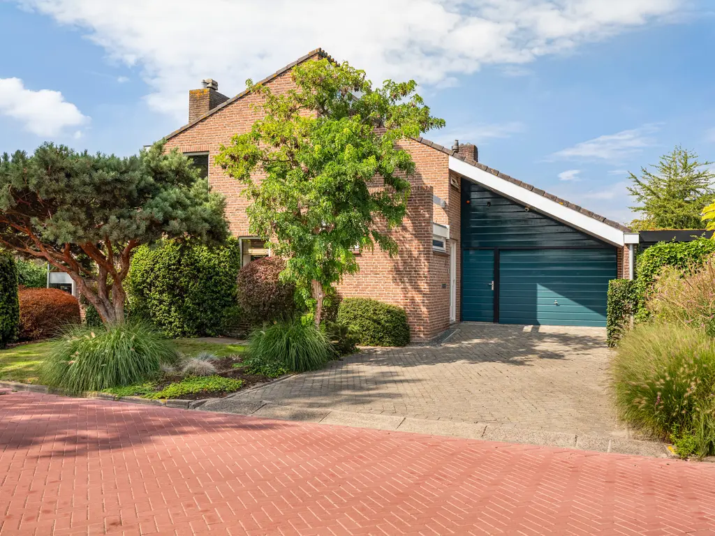 Weidezoom 3, MOORDRECHT