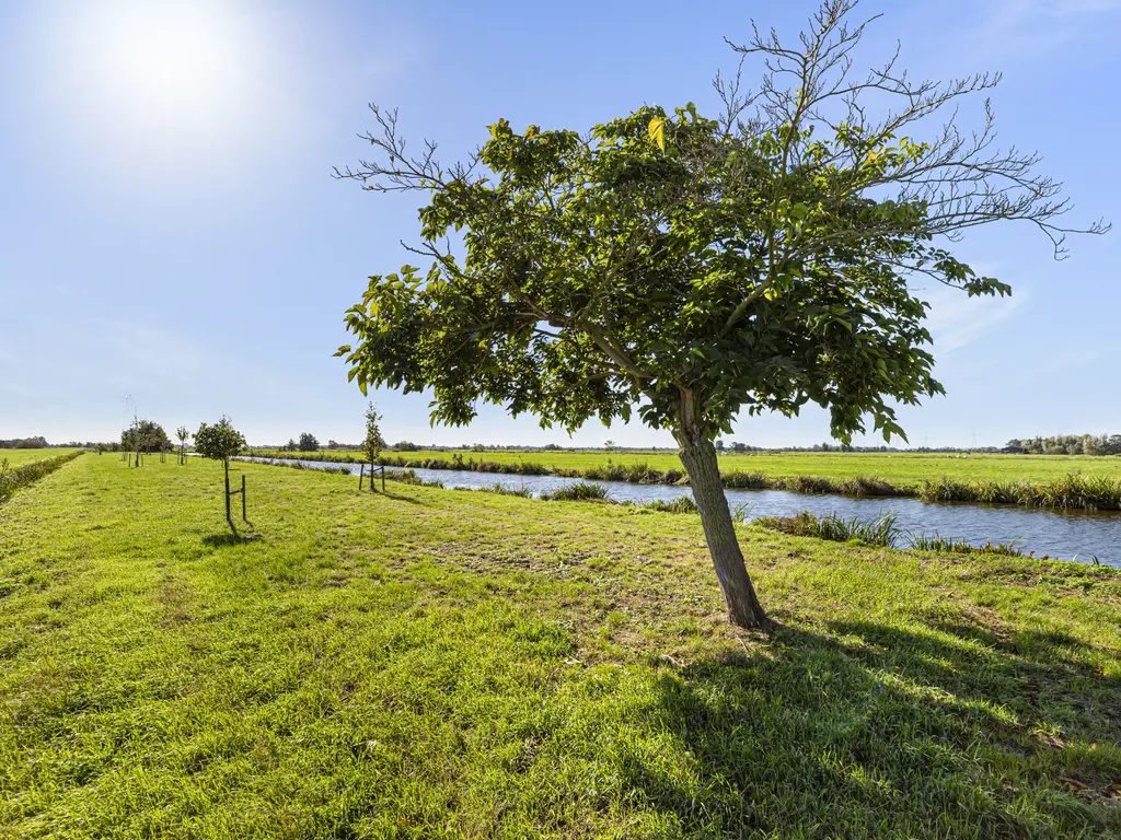 Bosweg 3, STOLWIJK