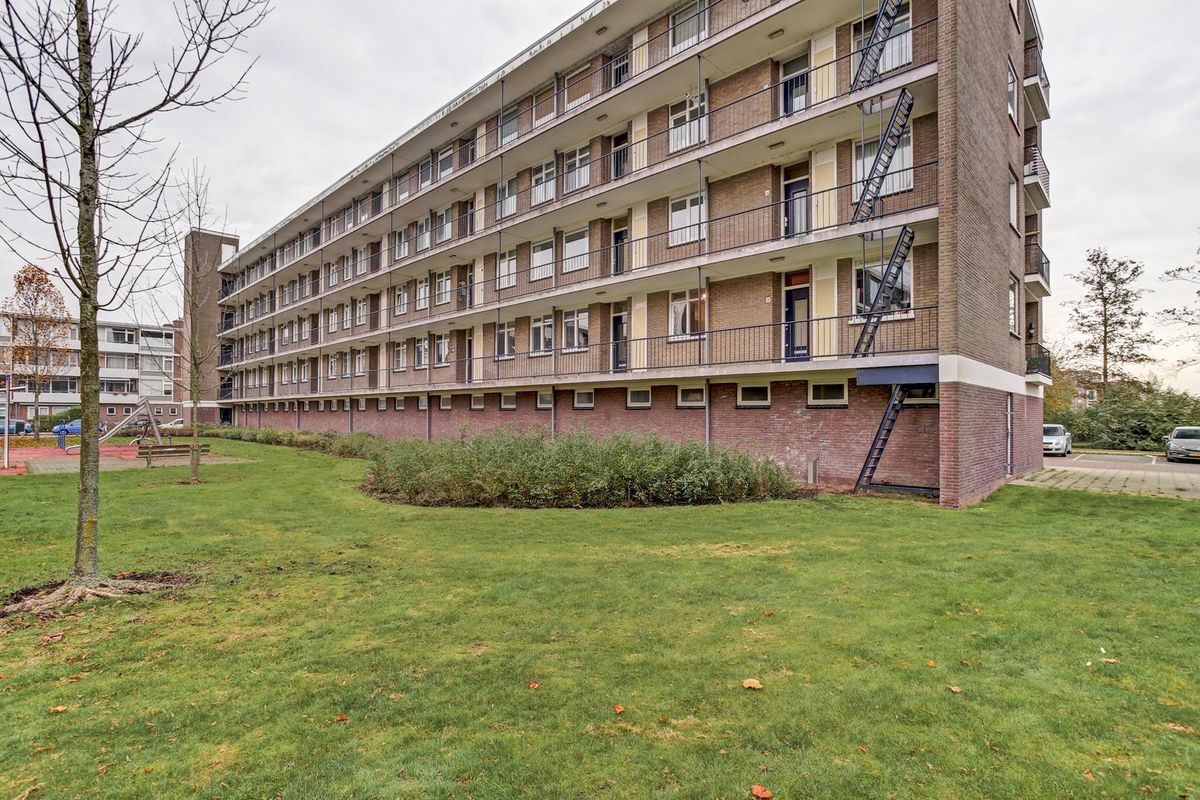 Brandsmastraat 48