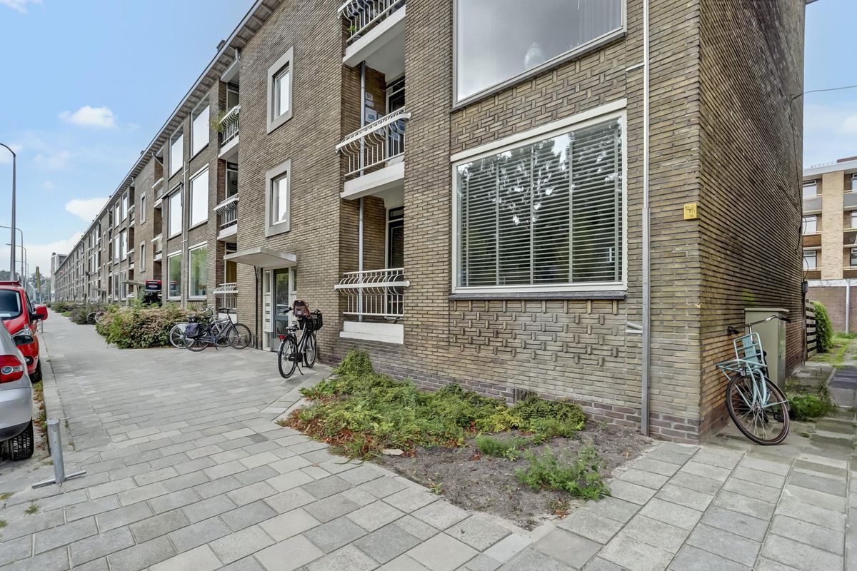 Statensingel 103