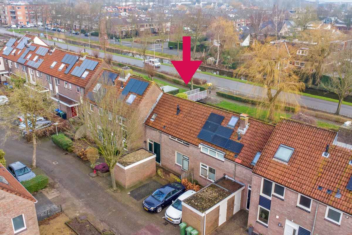 Pinksterbloem 28