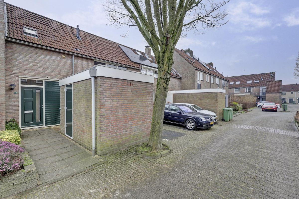Pinksterbloem 28