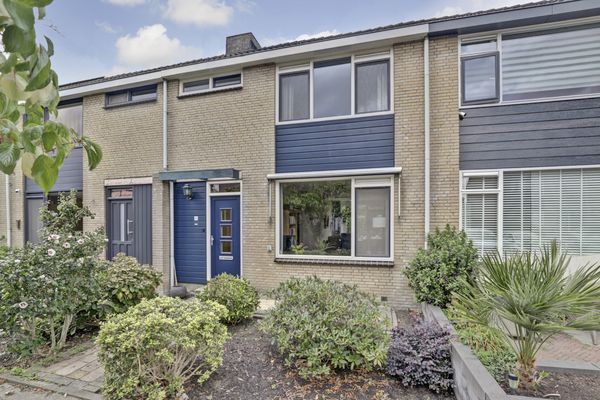 Sneak Preview: Kievit 20 te Gouderak