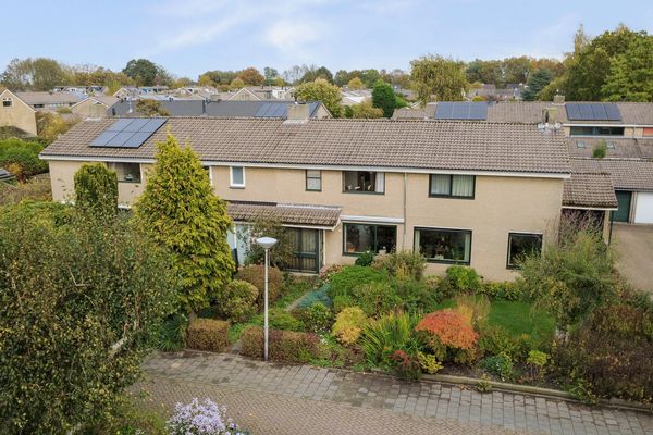 Sneak preview: Struisgras 8 te Gouda