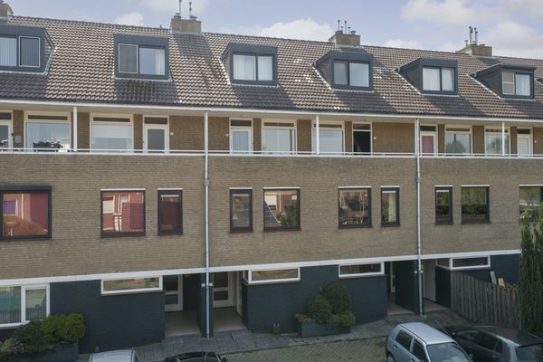 Sneak Preview: Gouda Augustus 2025