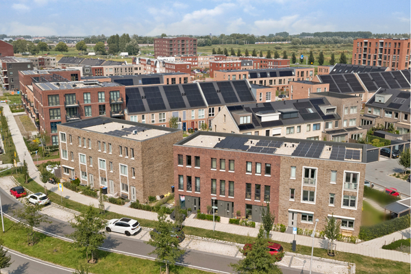 Sneak Preview: Gouda Augustus 2025