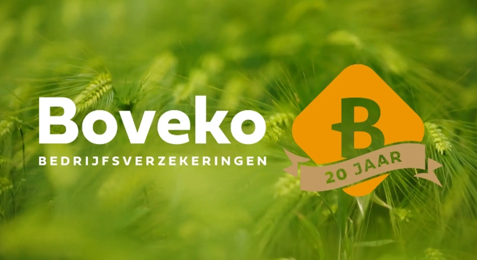 Boveko bestaat 20 jaar: een terugblik vol trots
