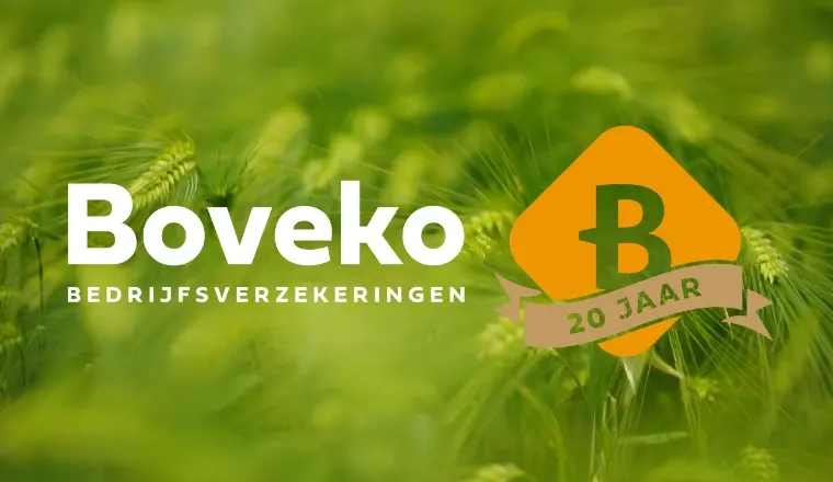 Boveko bestaat 20 jaar: een terugblik vol trots