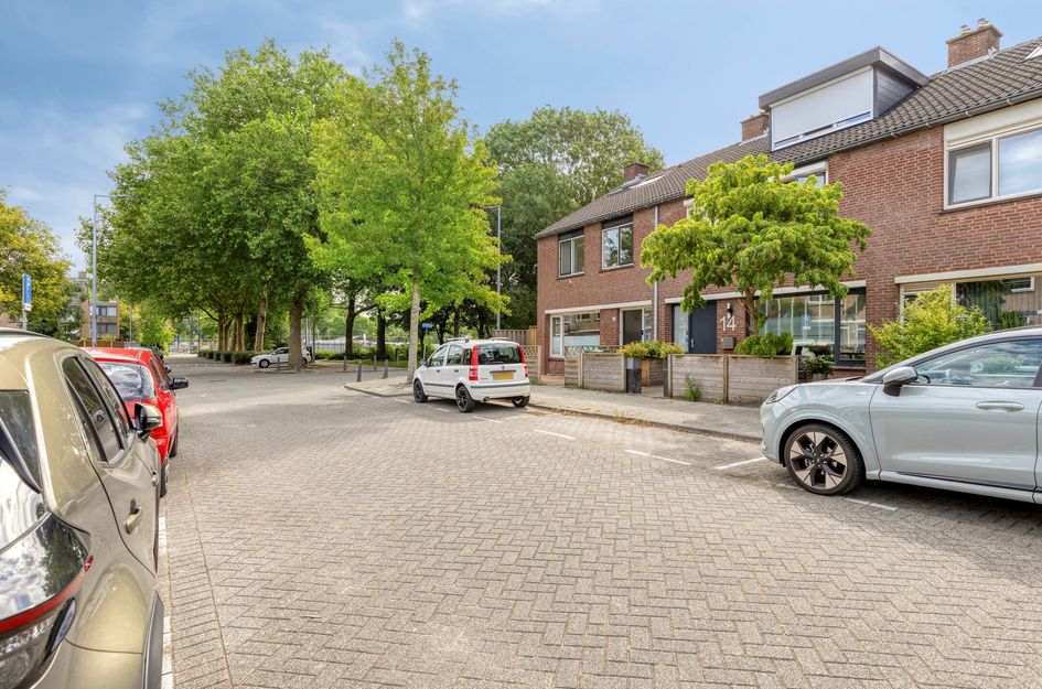 Heidekruid 12