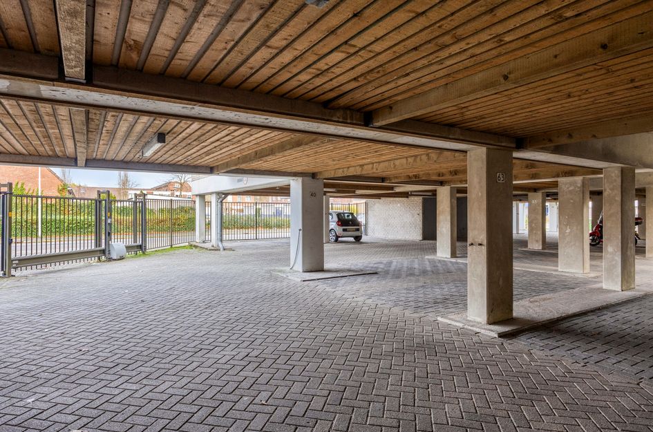 Maria Danneels Erf 44