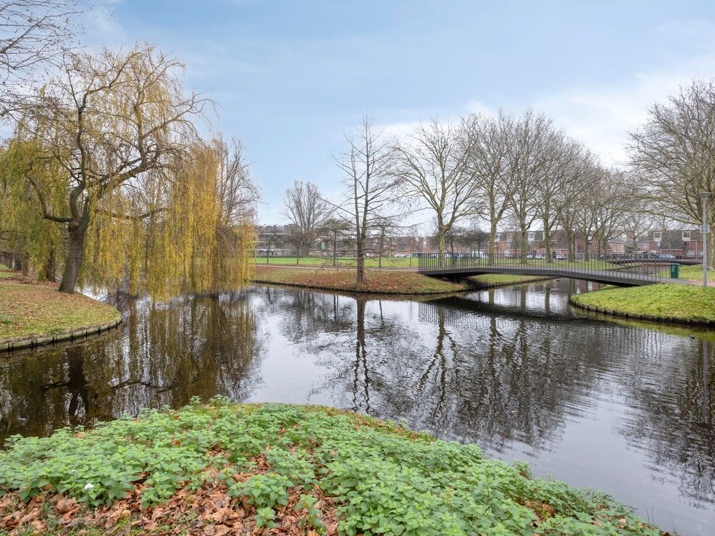 Kornet 21, Rotterdam