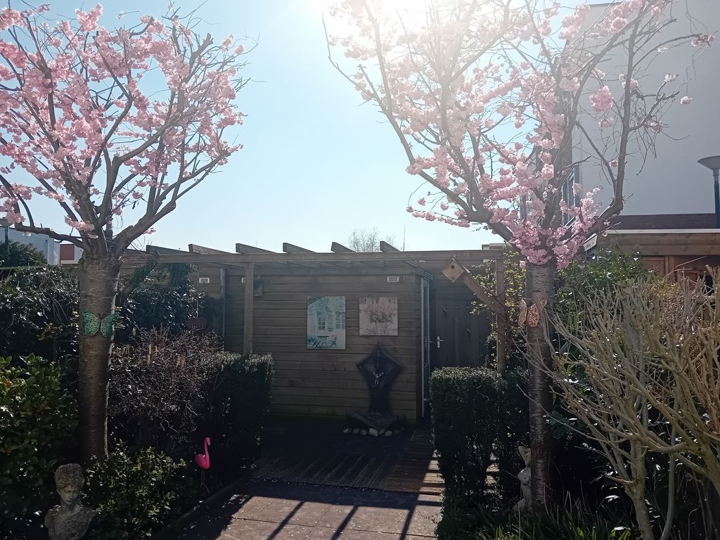 Rhodoshof 3, Rotterdam