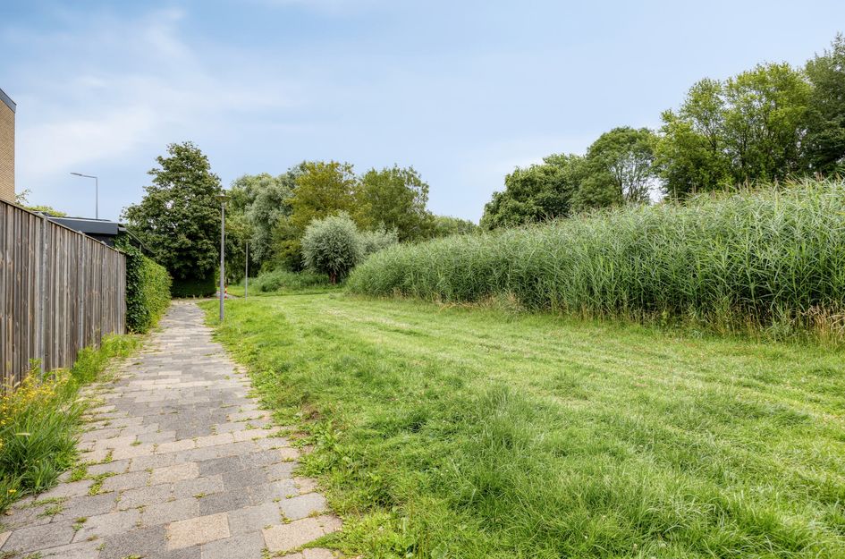 Lentebloem 31