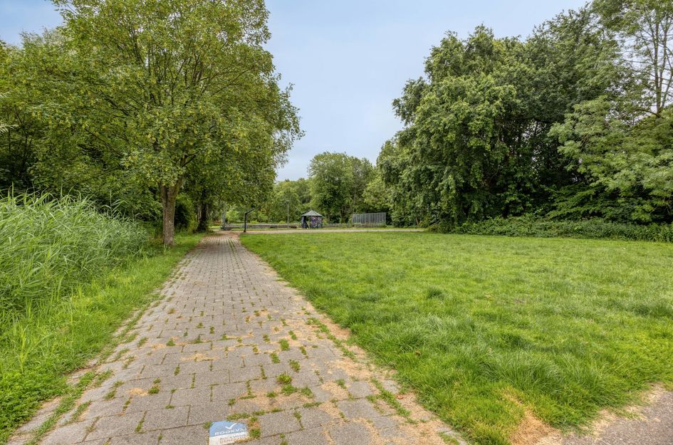 Lentebloem 31