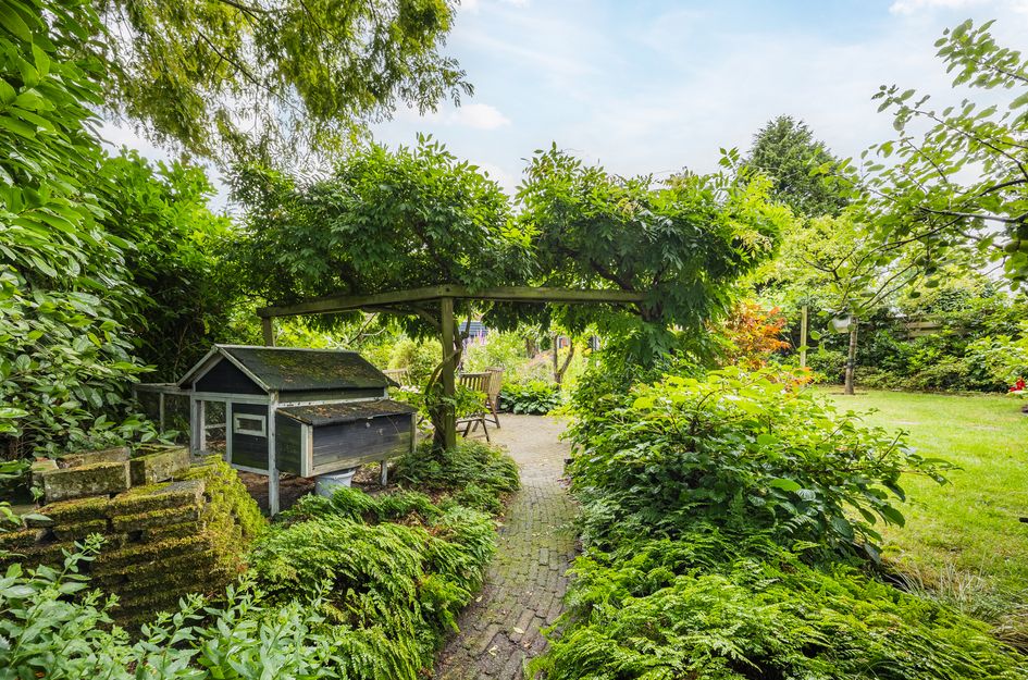 Zwartmoeren 10