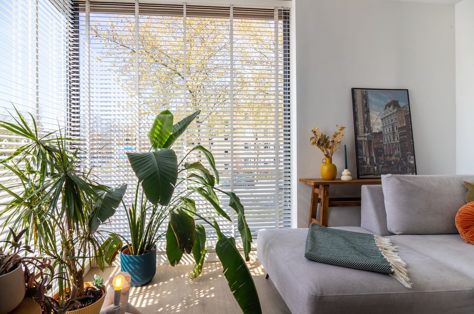 St. Ignatiusstraat 149