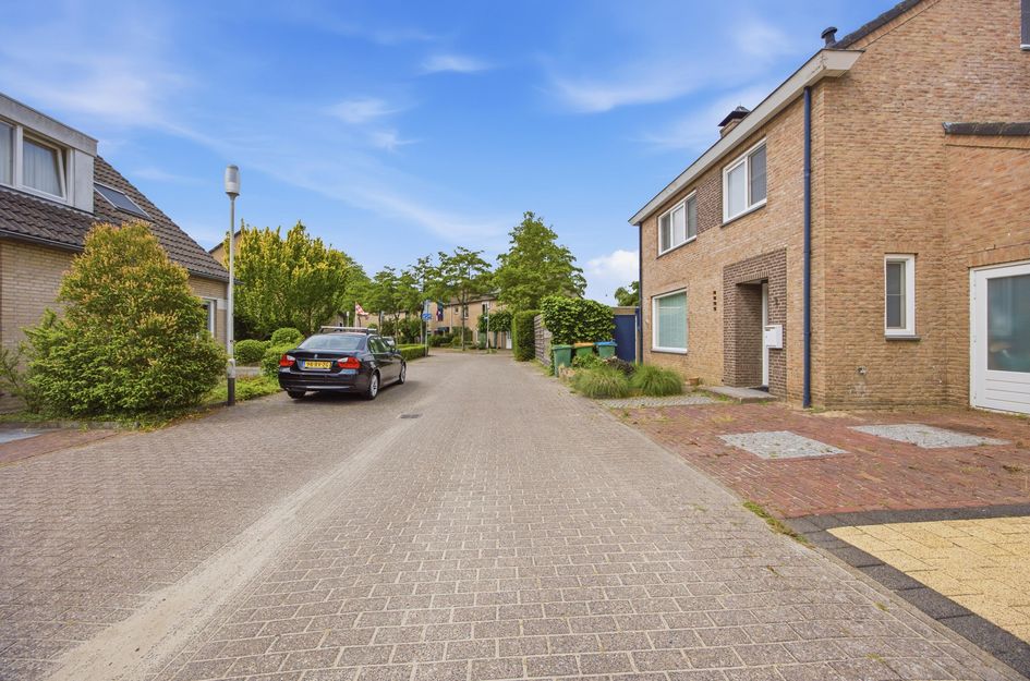 Iepenbroek 3