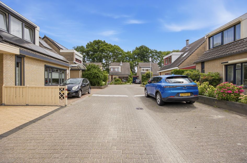 Iepenbroek 3