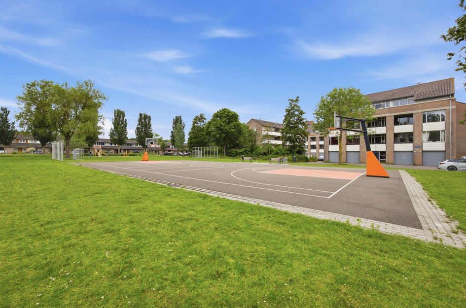 Iepenbroek 3