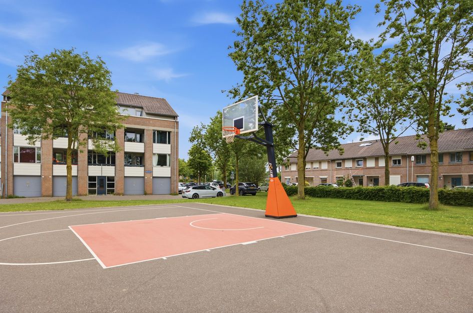 Iepenbroek 3
