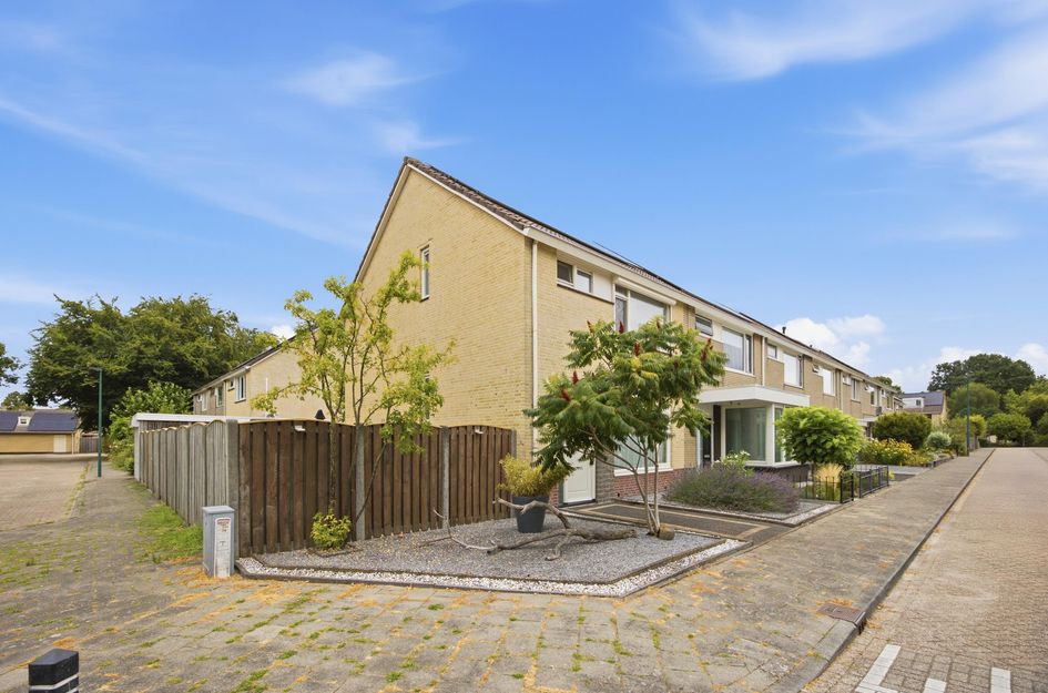 Bosboomstraat 20