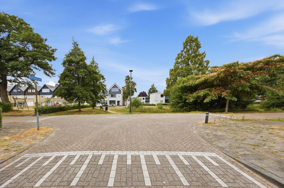 Bosboomstraat 20