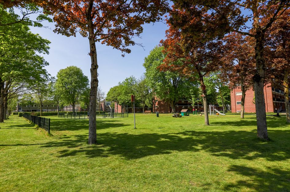 Langendijk 15A