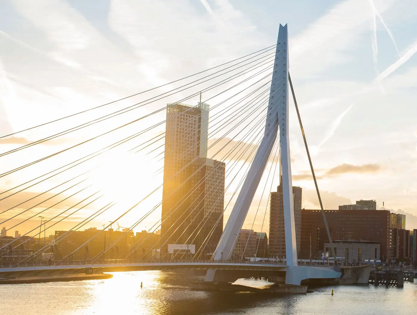 rotterdam