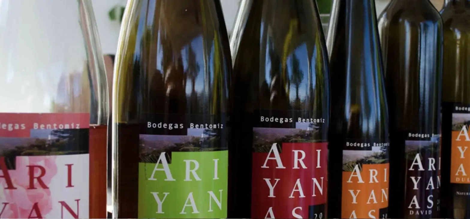 Bodegas Bentomiz and a Private Tasting of Ariyanas Wines at El Carligto