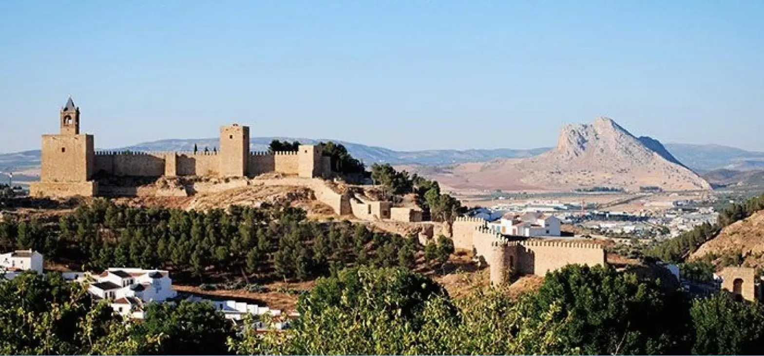 Olive Oil Experience & Antequera