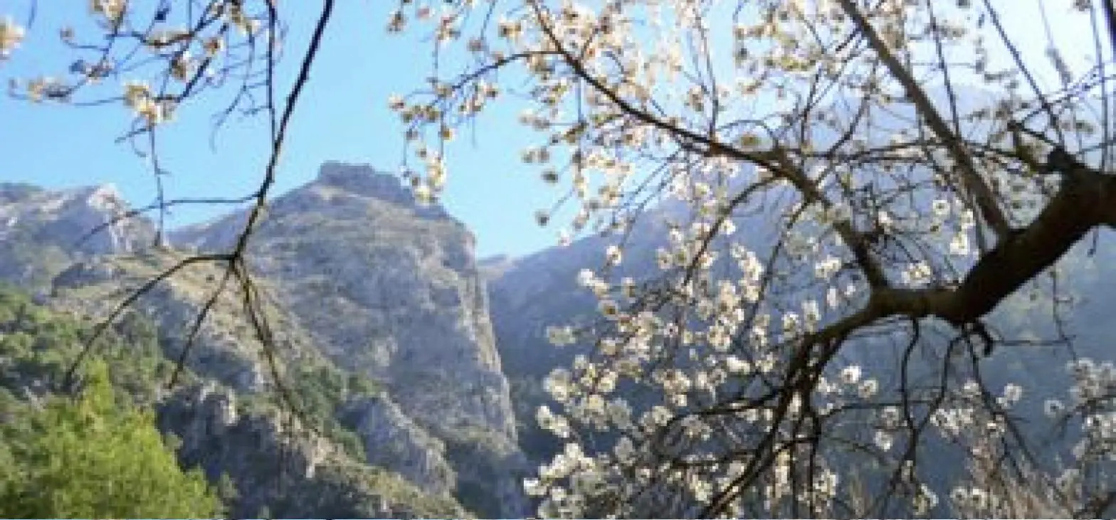 Why Andalusia in Springtime will Soothe Your Soul