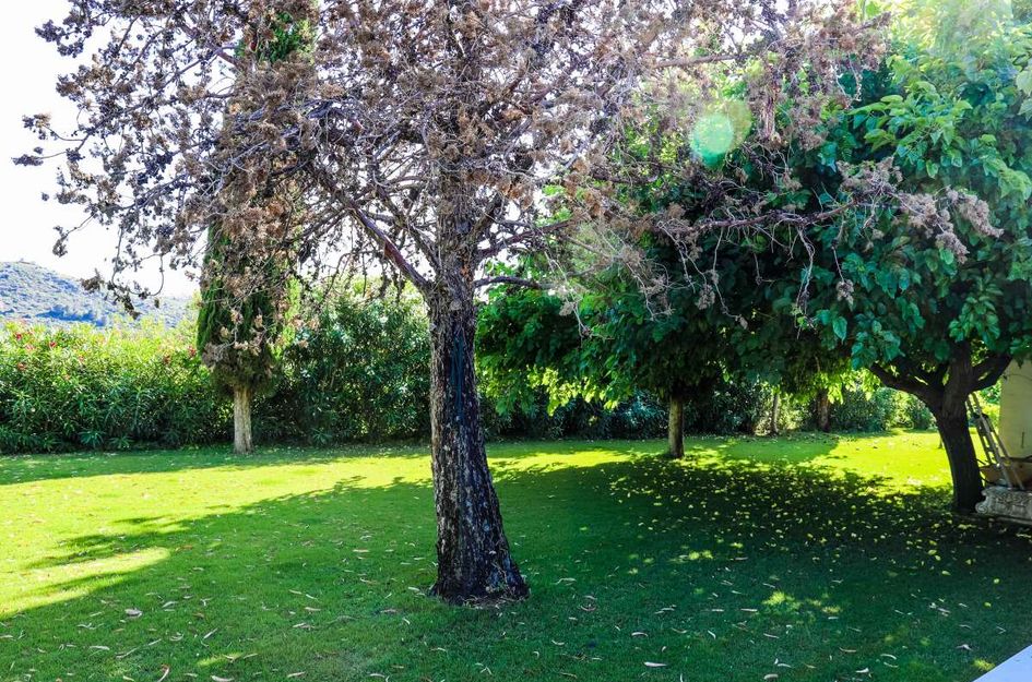 Villa in Jesus Pobre